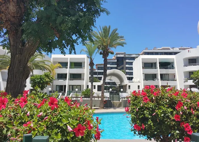 Optimist Tenerife Πλάγια ντε λας Αμέρικας